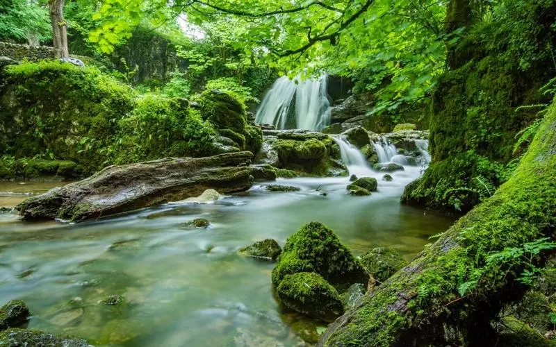 高标准电子高端